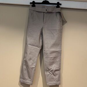 Faux Leather Grey Pants